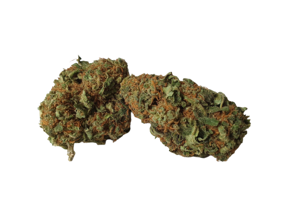 susz cdb  Susz CBD Amnesia Susz konopny 5g